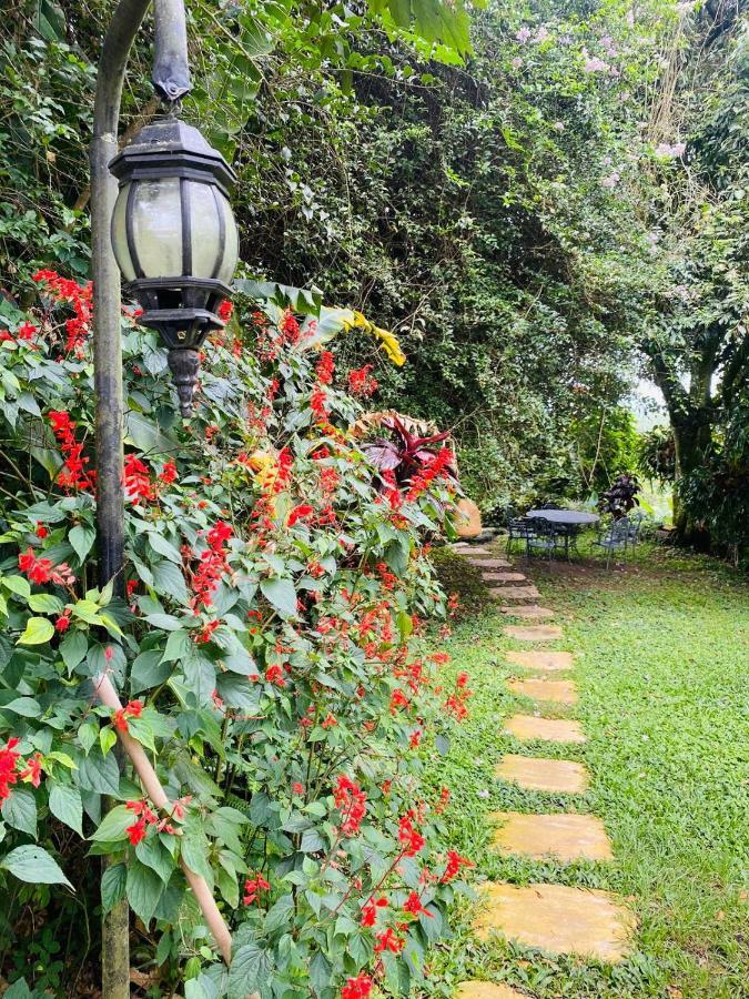 Finca Hotel Los Girasoles Montenegro Exteriér fotografie