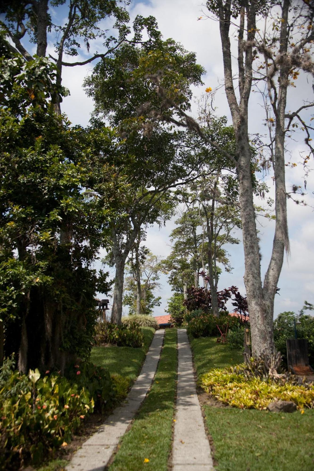 Finca Hotel Los Girasoles Montenegro Exteriér fotografie